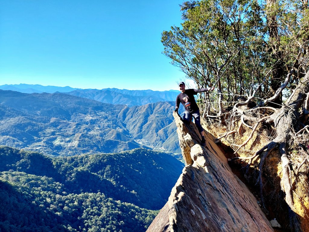 北得拉曼 內鳥嘴山 黃金山毛櫸_1944196