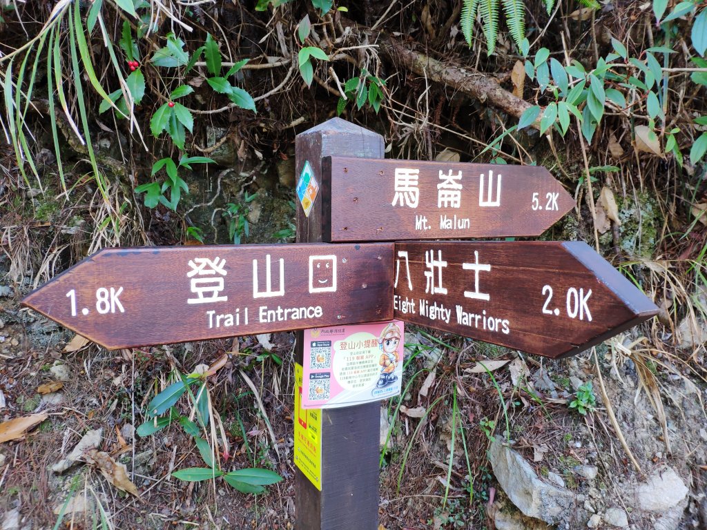 谷關七雄老二_五星級森林步道馬崙山_1280022