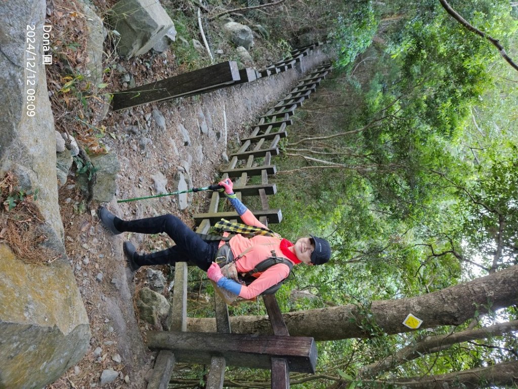 【谷關七雄】波津加(H1771.6m)肉腳配速成功_2670405