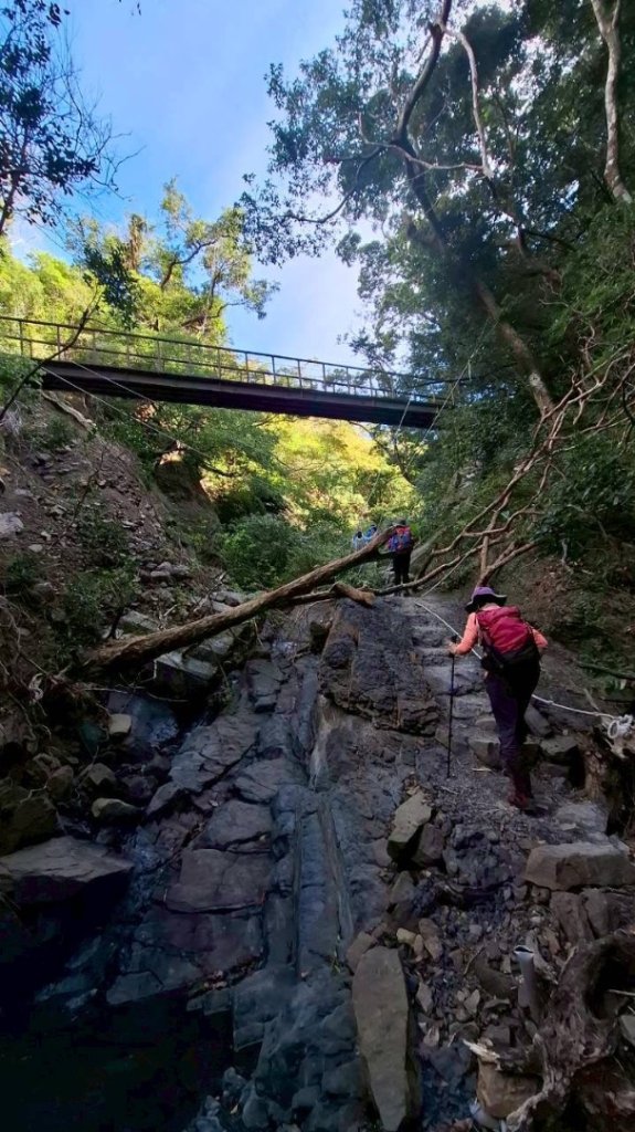 楓港紫竹林龍峰寺起登 里龍山(小百岳#80)來回_2964489