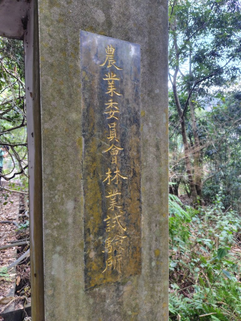 多納六秀 屯子山 安通吊橋_2987292