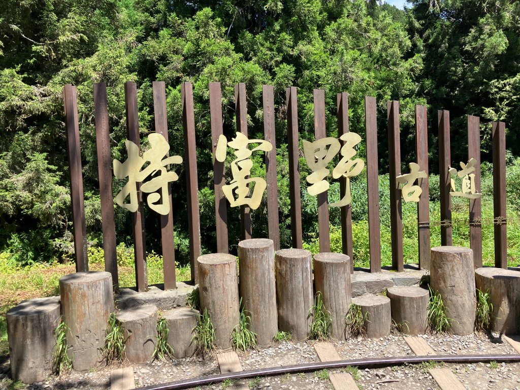 特富野古道(自忠).投信義-嘉阿里山封面圖