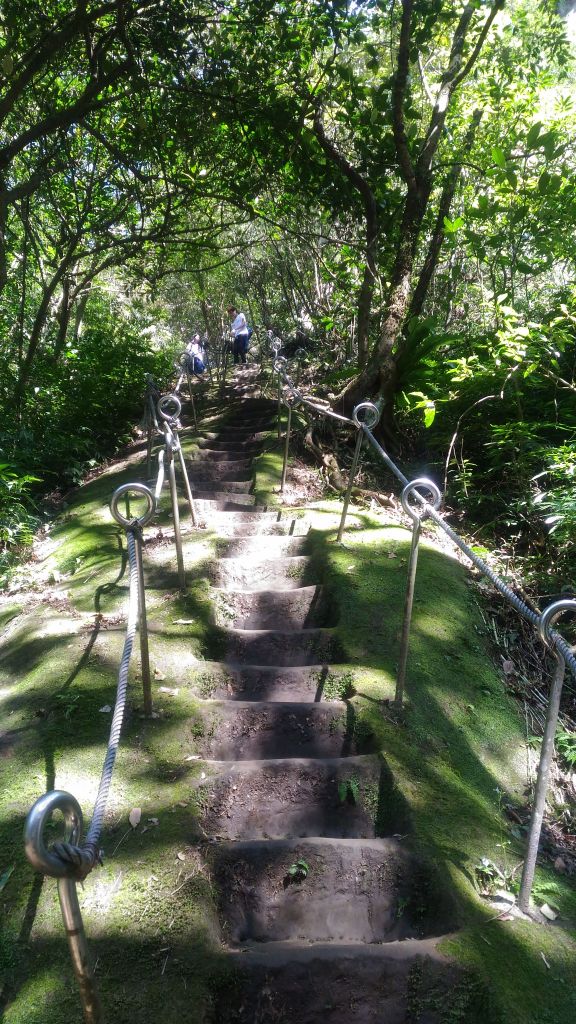 孝子山,普陀山,慈母峰步道_185711