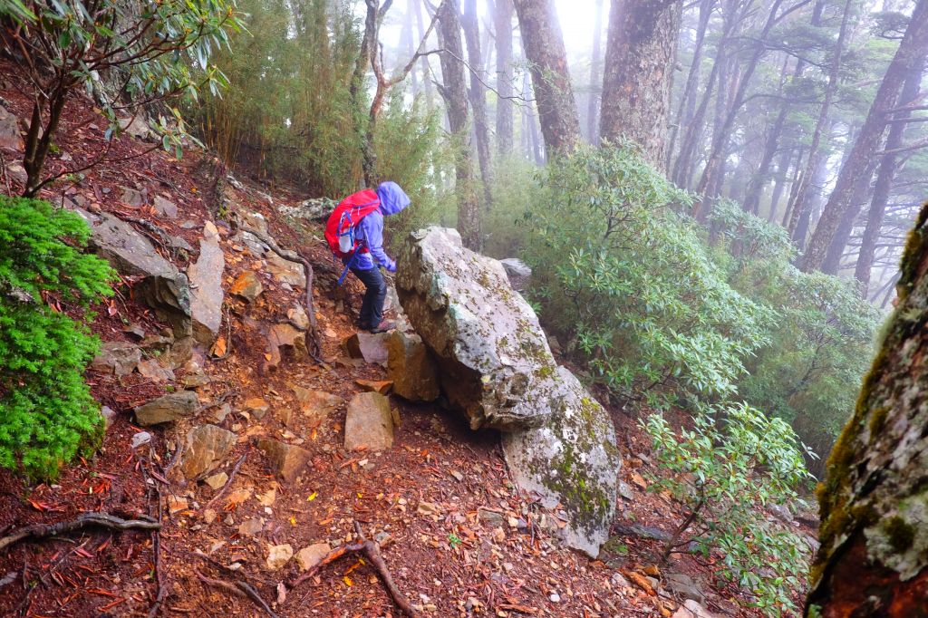 迷霧飄逸池有山_392092