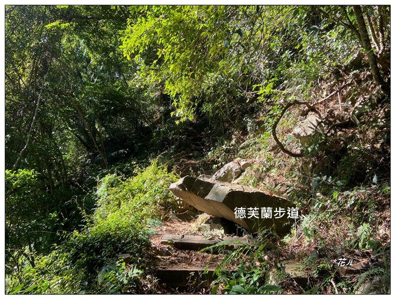 北松鶴山、德芙蘭步道 (台中 和平)_2922141