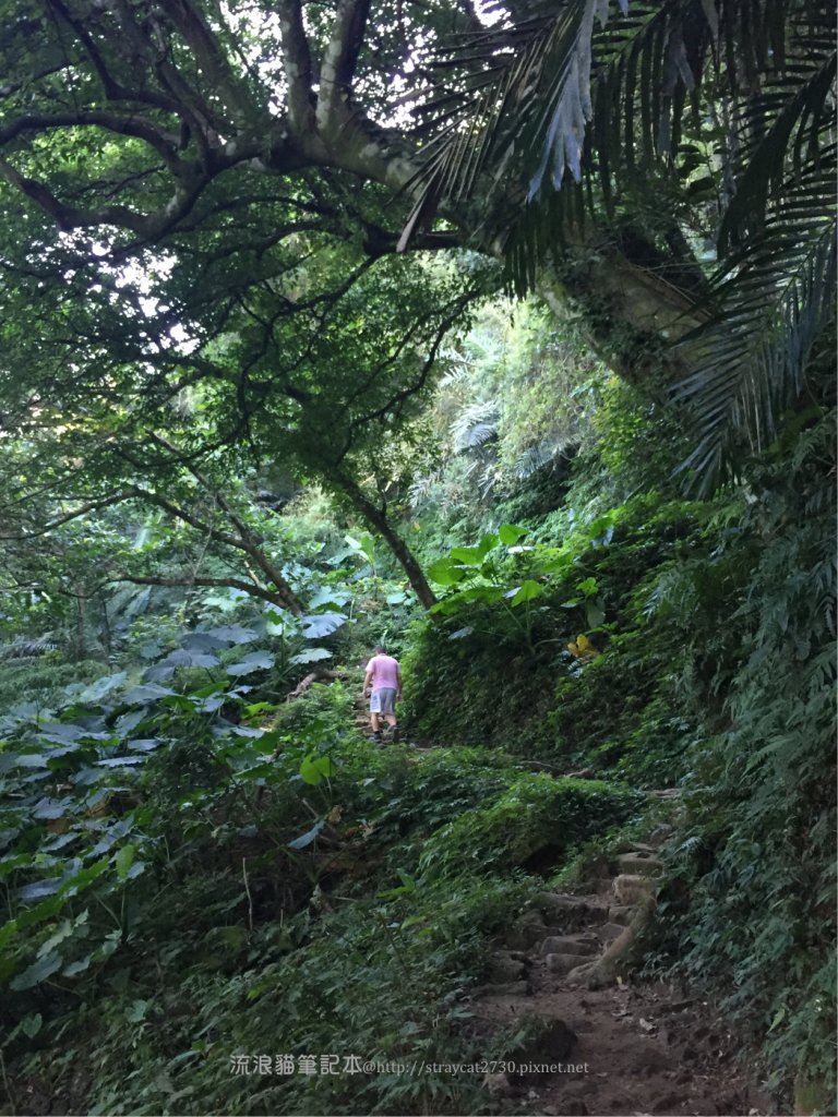 溪洲山登山口-新溪洲山-石門水庫_897604