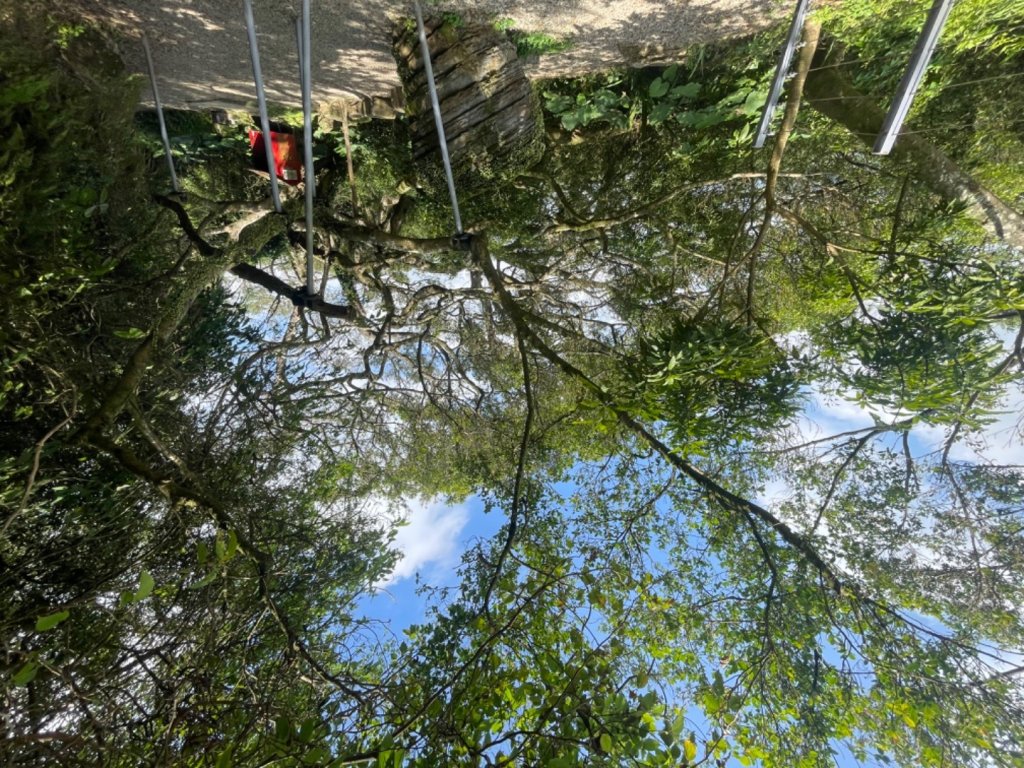 鶯桃縱走_2441627