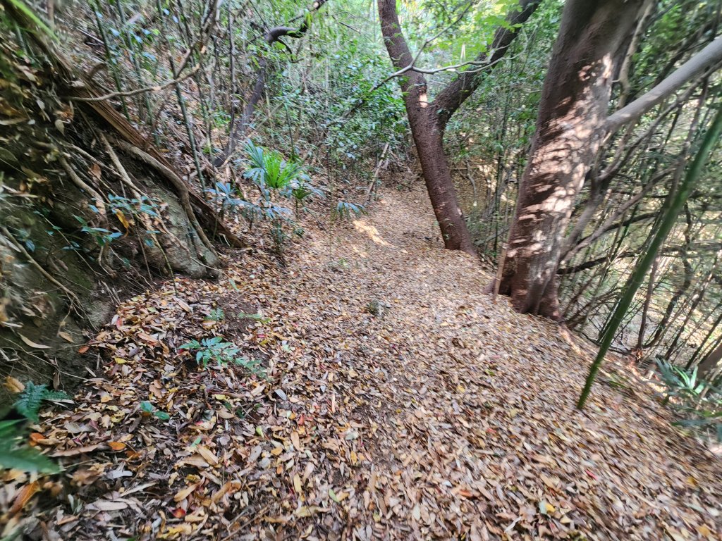 20251128橫須賀軍港遊船+鎌倉大佛步道_2962743