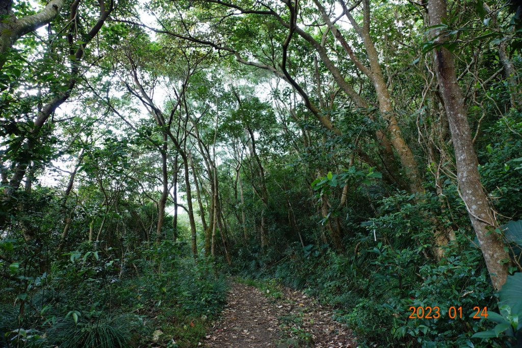 屏東 獅子鄉 女仍山(汝乃山、女乃山)_2011479