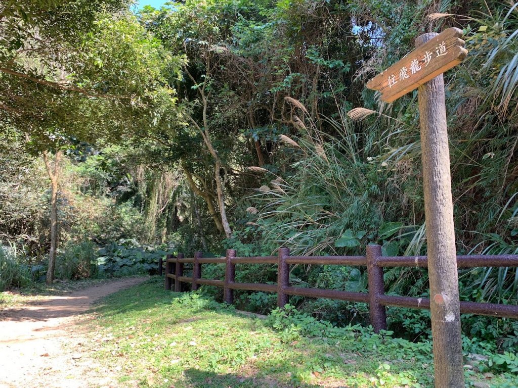蓮華山古道群_飛龍登山步道、戴熙古道、採茶古道、進香古道、迴龍古道_2063346