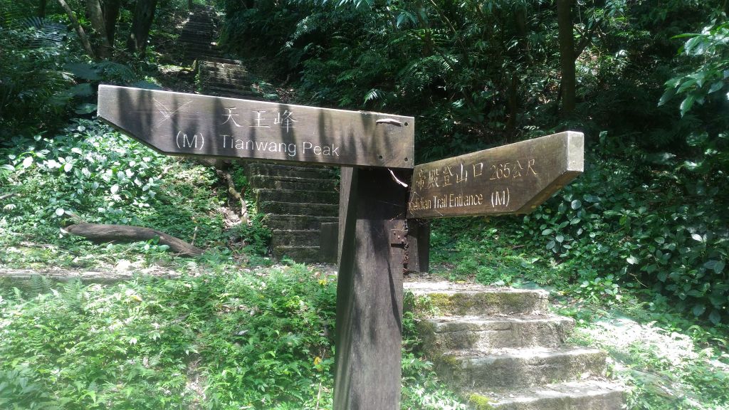 前往皇帝殿拉!!!_177383