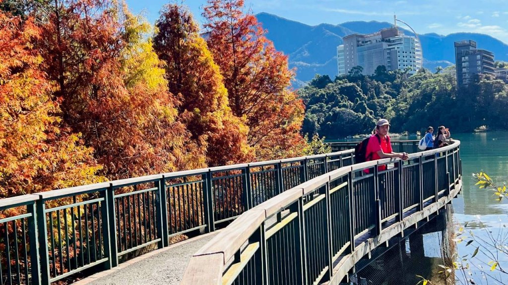 🌈12/21(日)落雨松紅了~日月潭環湖精華段✨FB：熊熊趴爬走🌈_2967404