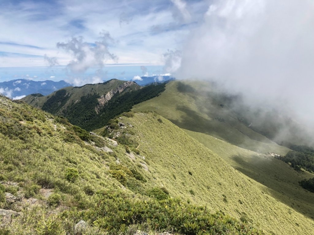 雪山西稜+大安溪神木_636522