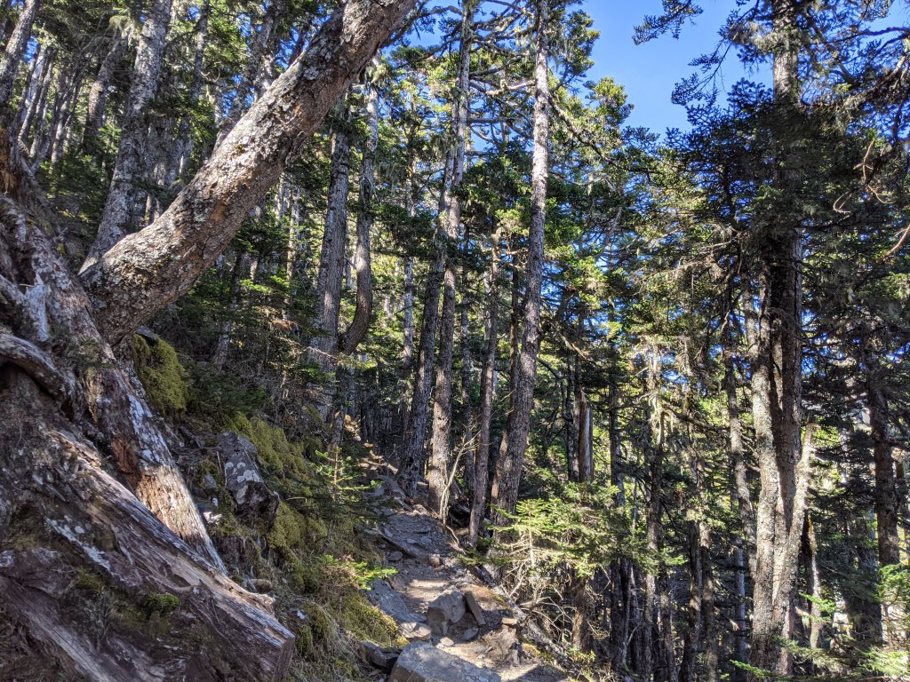 三角點包場出大景的雪山主峰東峰_879950