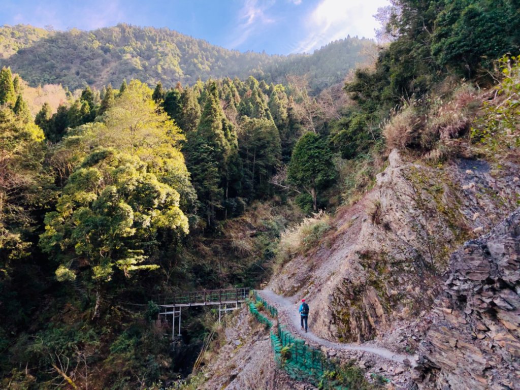 1090122檜山巨木群步道封面圖