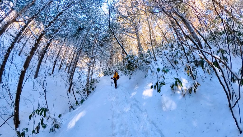 超綺麗夢幻的粉雪奇緣山行記在日本名古屋南沢山_2781215