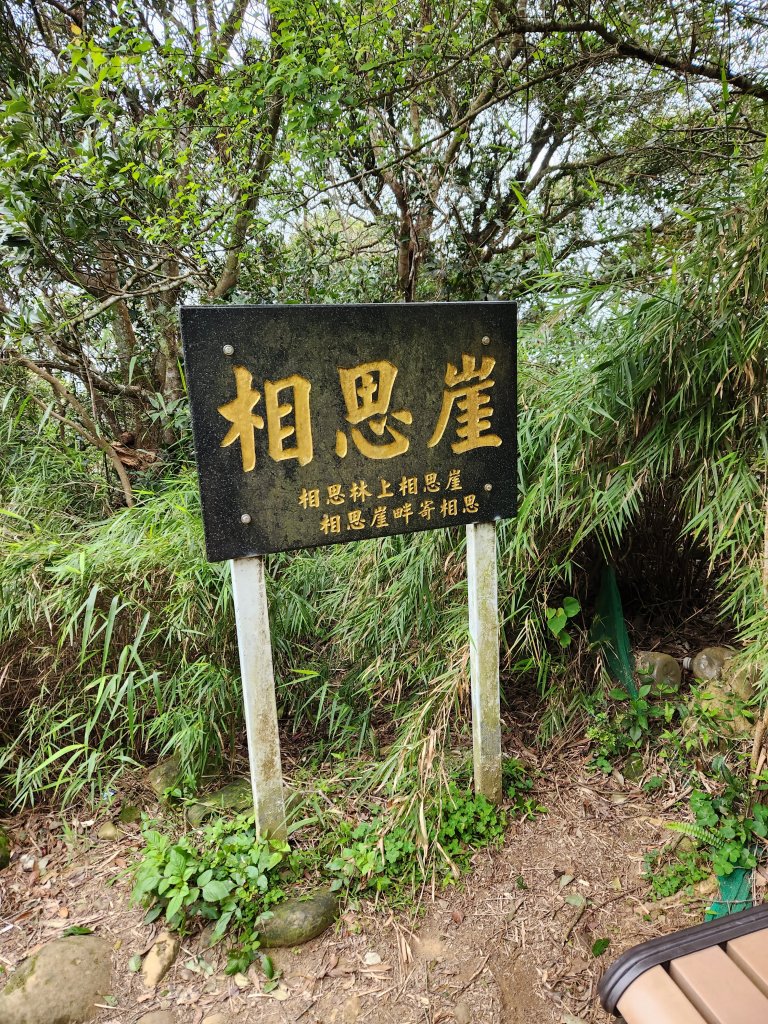 112/2/23龍鳳連稜_2148161