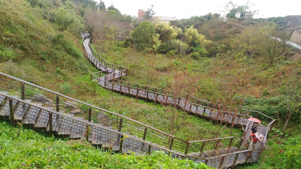 頂石棹步道群-霞之道,櫻之道及雲之道_204212