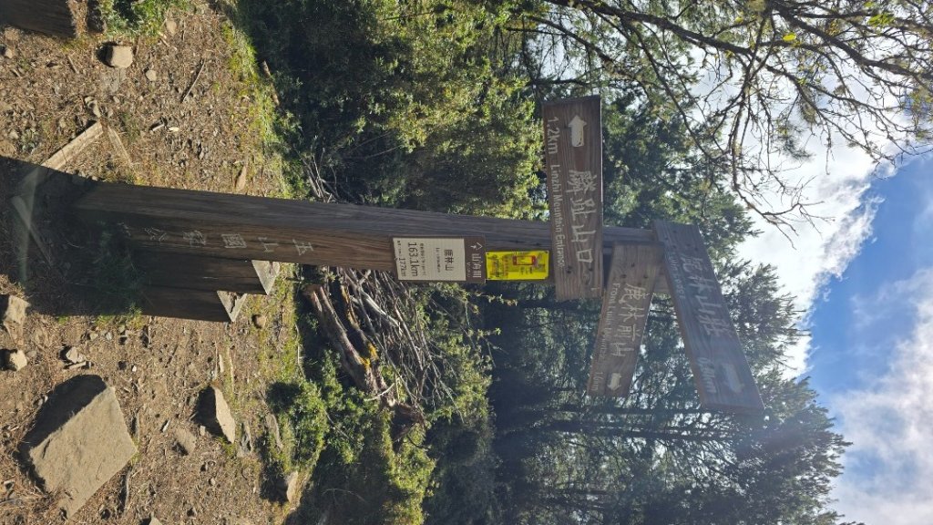 東埔山／鹿林山／鹿林神木_2666733
