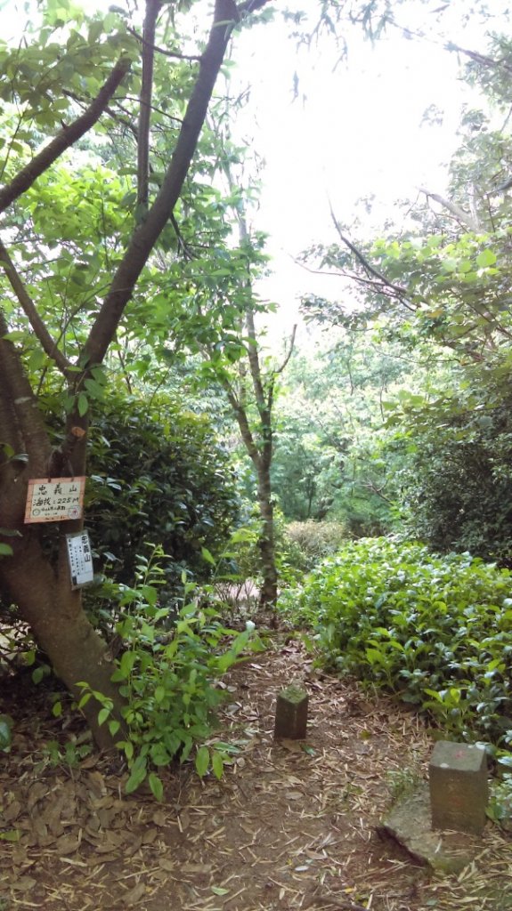 【臺北大縱走1】忠義山小坪頂下青礐貴子坑_914269