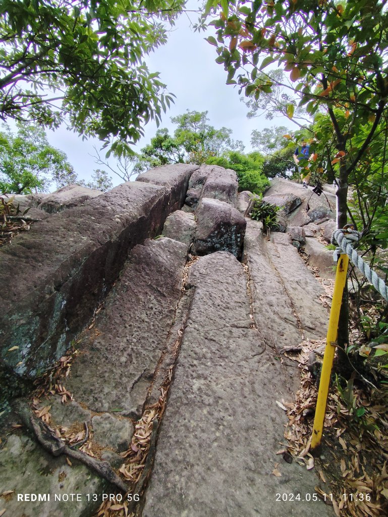 金面山環狀步道【踢不爛大地遊戲】_2501289