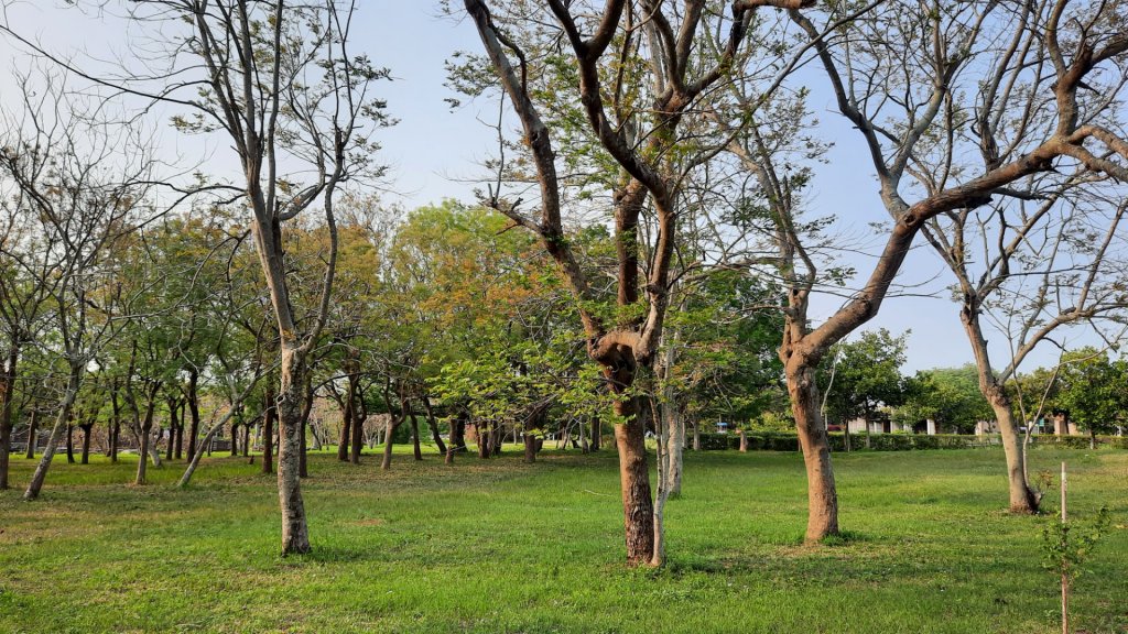 《台中》森林公園｜台中都會公園大O繞20230409_2102716