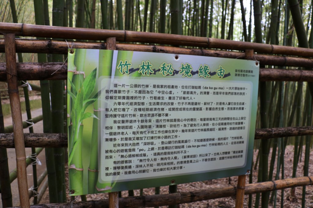 苗栗泰安~美景來自於堅持守護~烏嘎彥竹林_872389