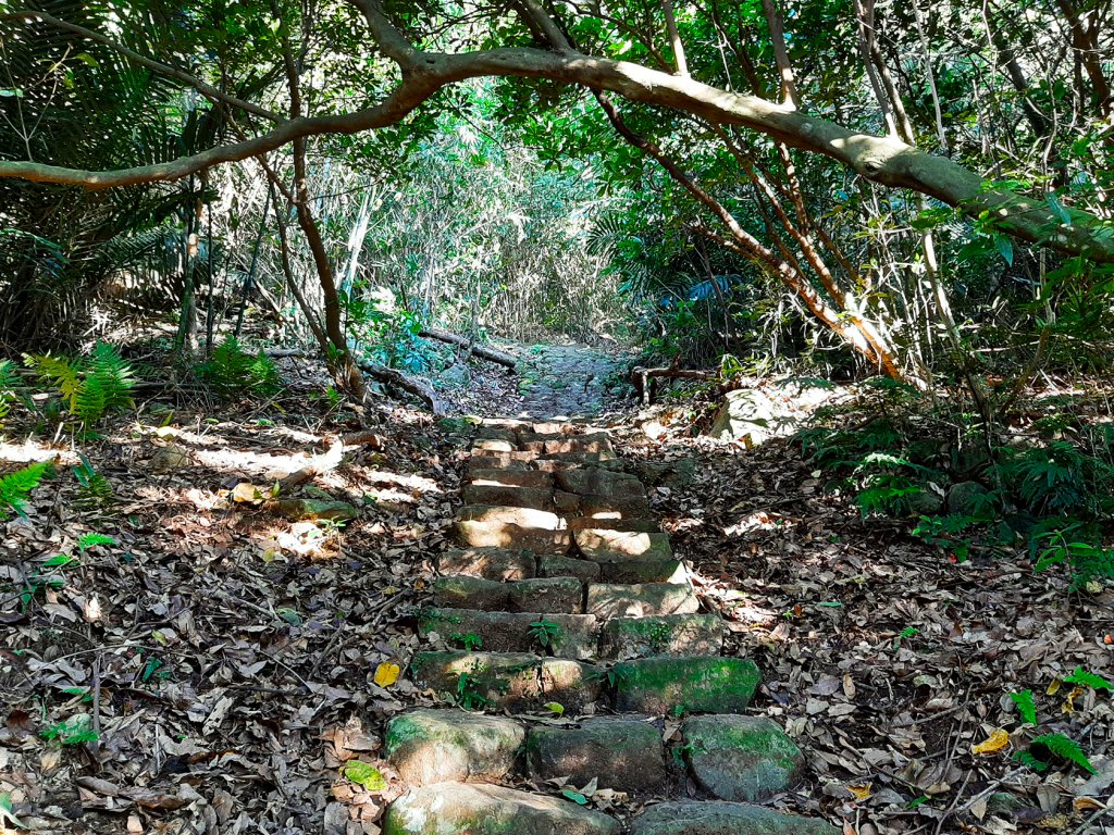 臺北大縱走2：興福寮登山口至小油坑_791034