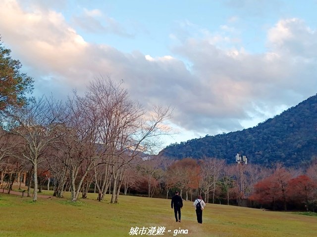 【南投仁愛】光影下的森林療育。 奧萬大國家森林遊樂區步道群_2973083