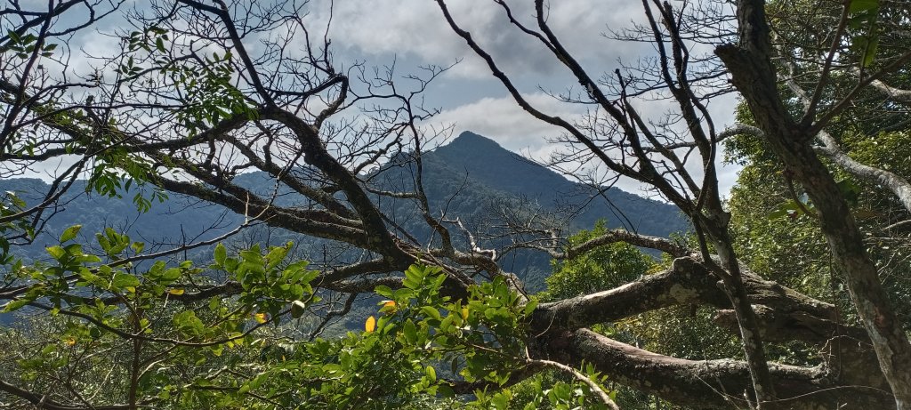 20240224_馬那邦山、細道邦山步道封面圖