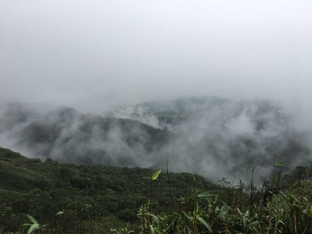 朝聖之旅-聖母登山步道_394122