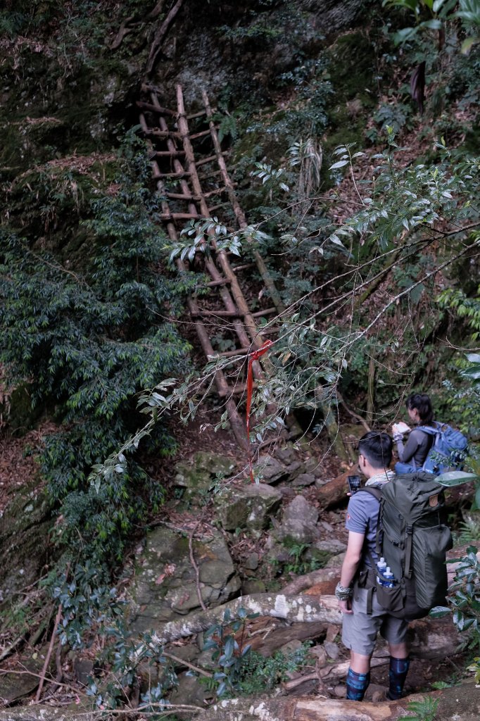 2021.04 巒安堂上西巒大山_1373237