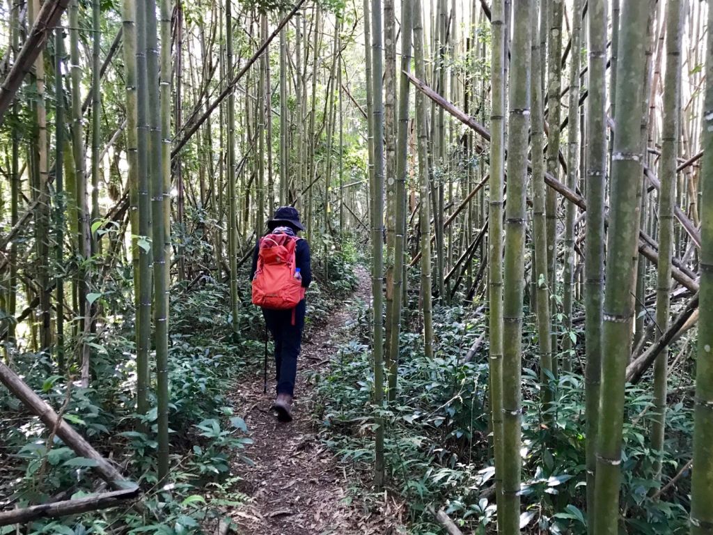 大混山連走李崠山_397876