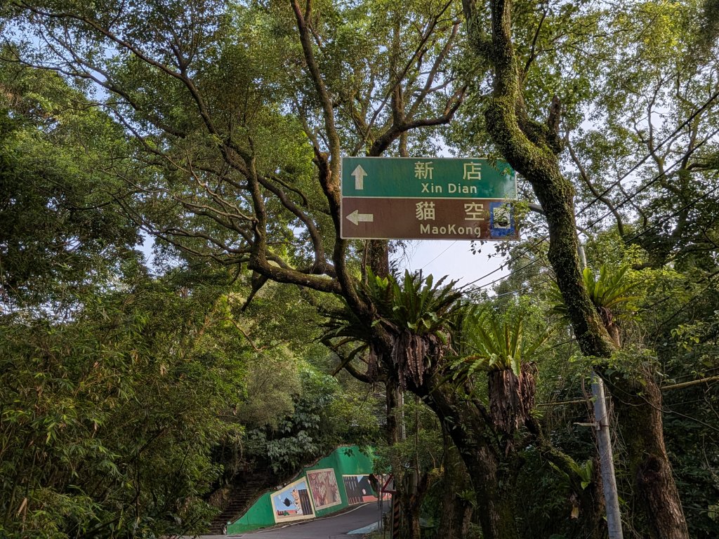 2026.6.19端午節走訪待老坑山封面圖