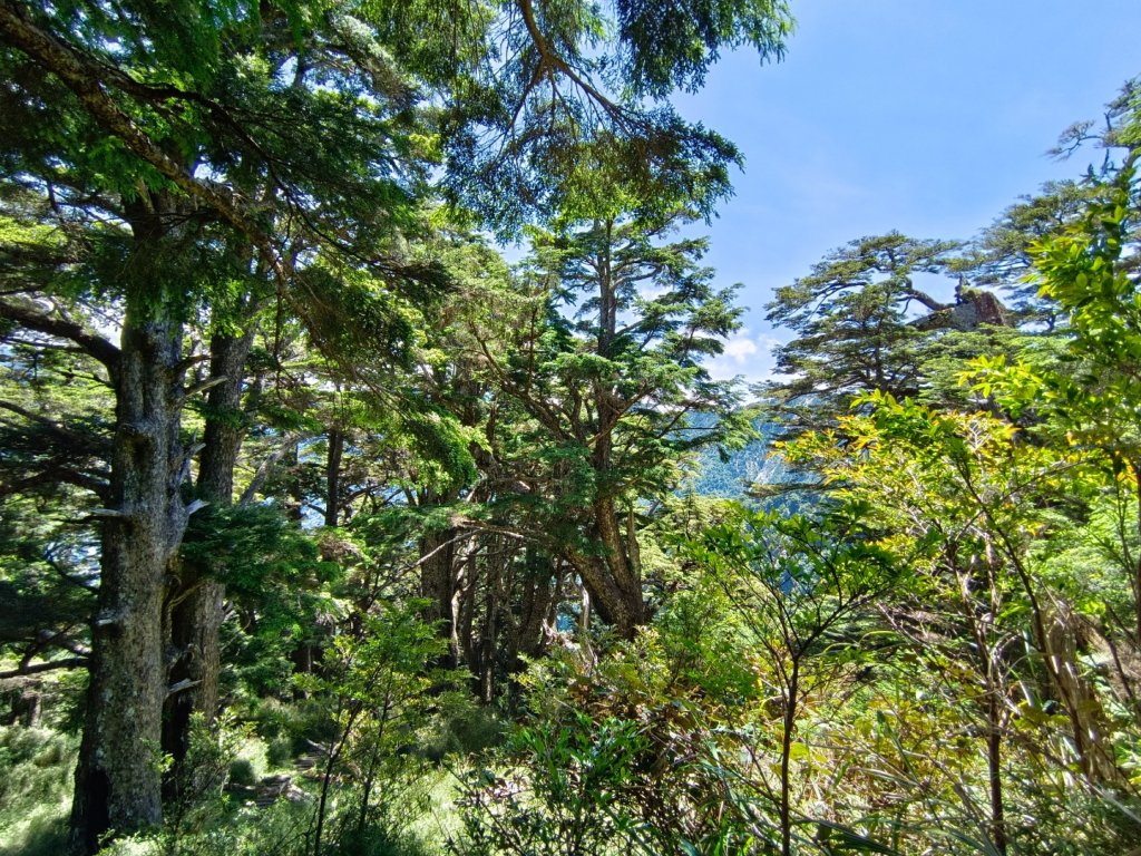 南橫F4之關山/庫哈諾辛山_1748118