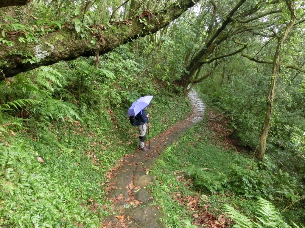石梯嶺．頂山．風櫃嘴_95086