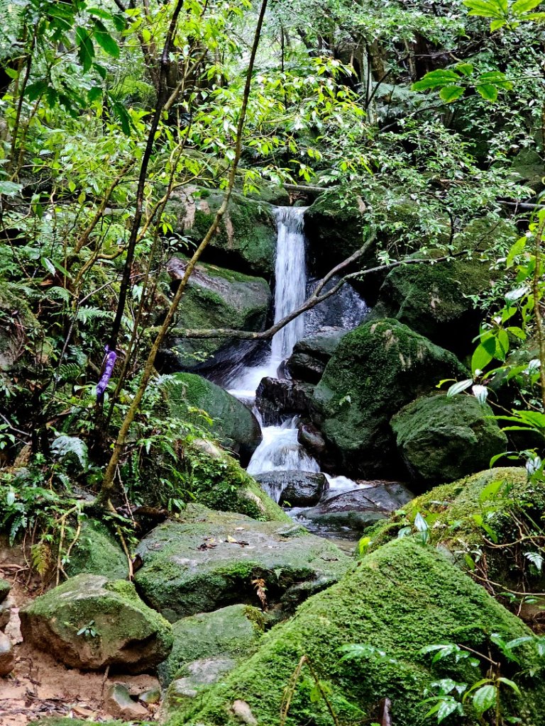 2025臺北大縱走第四段：風櫃口至中華科技大學_2973487