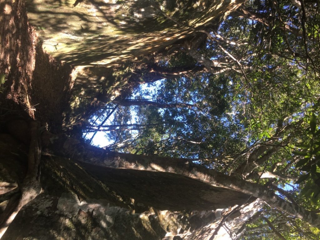 蟾蜍山、東麓山、水車寮坑o_2290166