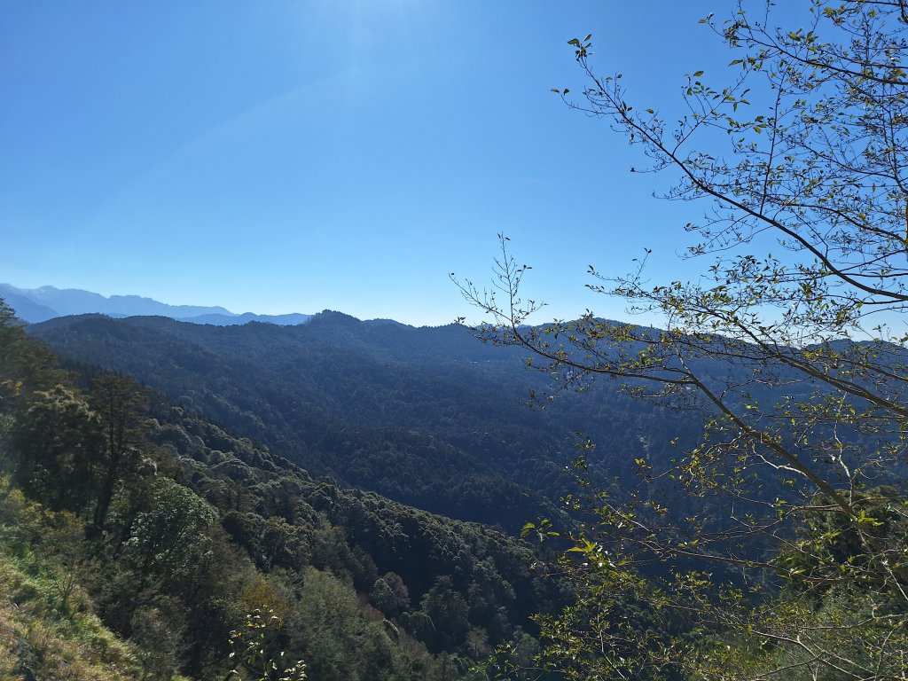 一日眠月線20250112_2687936