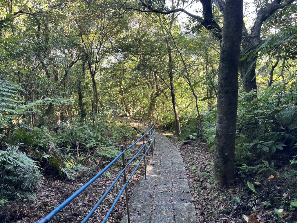[微笑山線_第九段] 2025_0914 二格山系_皇帝殿東峰_2889463