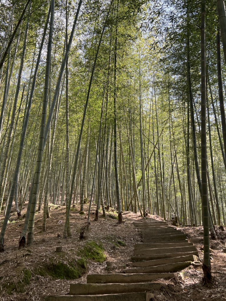 小百岳-石壁山_2742530