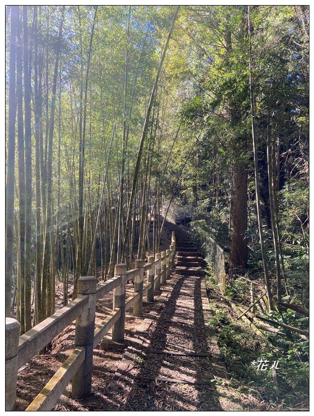 鳳凰谷步道(鹿谷鄉)_2690449