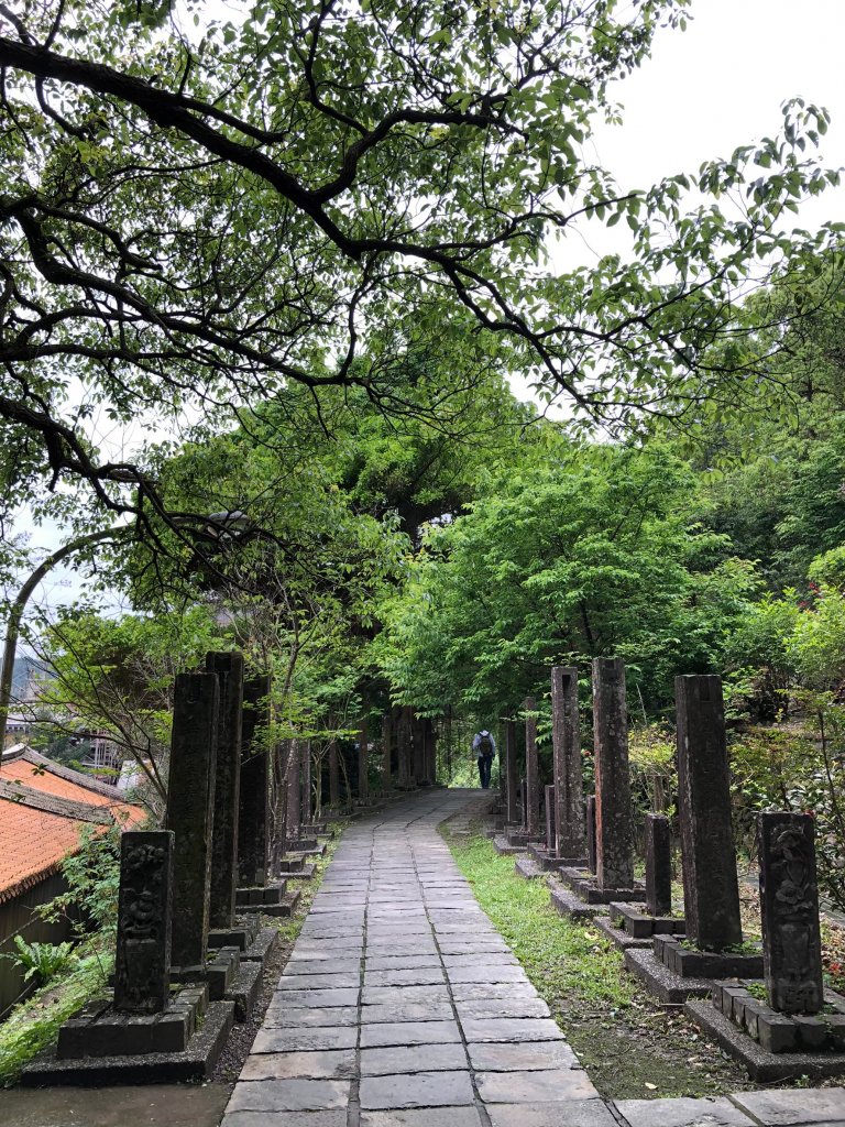 2021.03.13草嶺古道_1493327