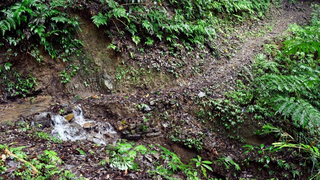 淡蘭古道中路（闊瀨崩山坑環線）_989162