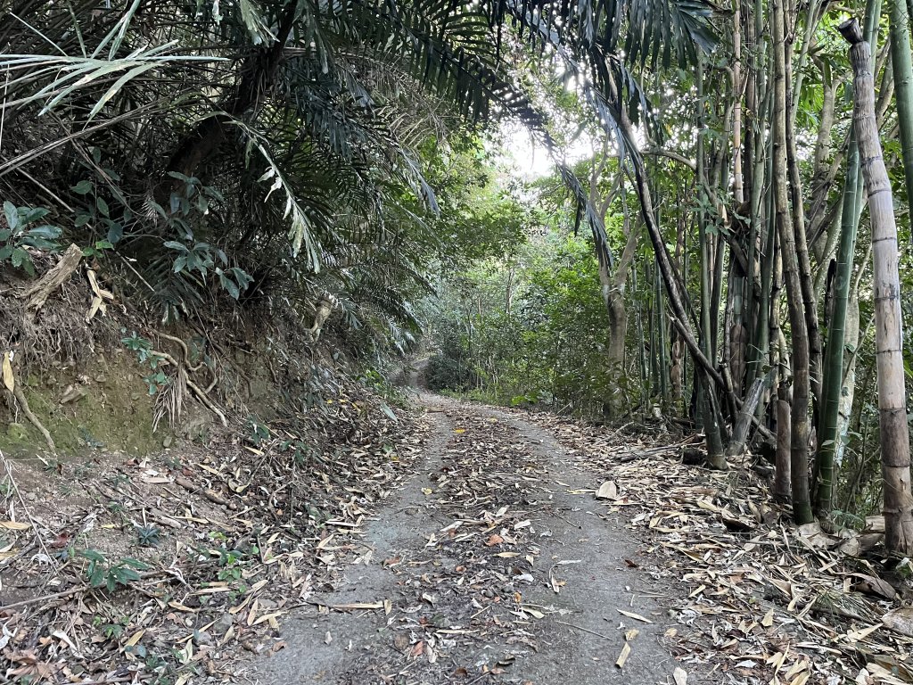 2023_1119 西阿里關山_2353842