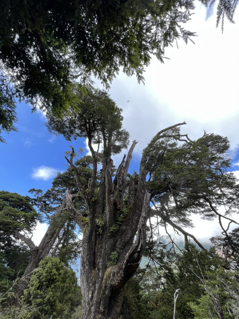 2022年 塔關山_1741721