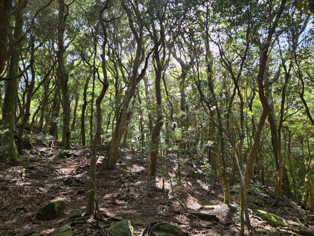 哈堪尼山_2761947