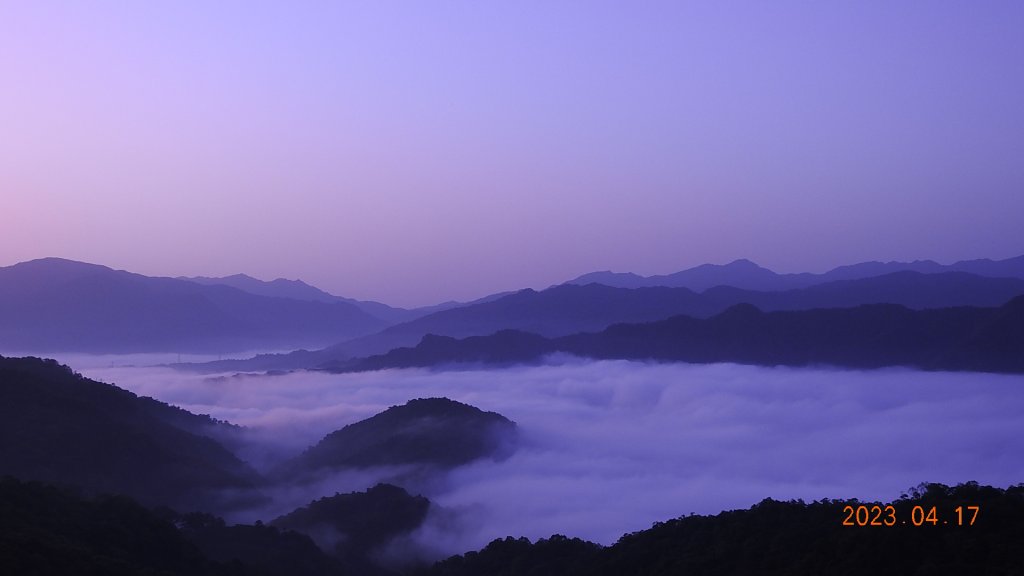 石碇十三股山/小格頭日出雲海+賞 #西施花 #松月櫻 孤挺花&桐花_2116917