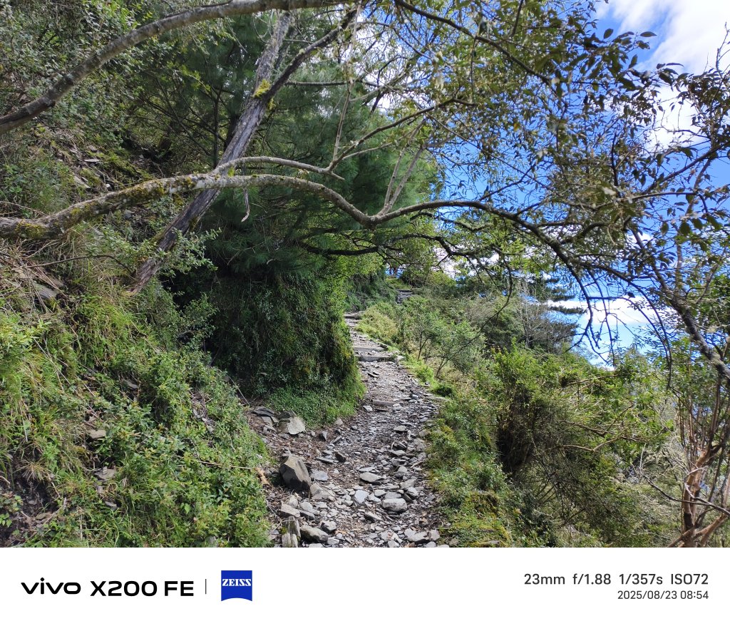 [玉山尋寶任務-04/12] 2025_0823 玉山前峰登山山徑_2869452