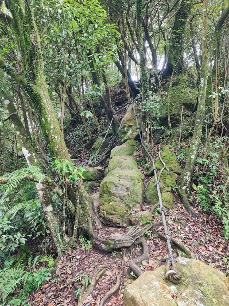 二格山-小百岳#17-台北市文山區_2248457